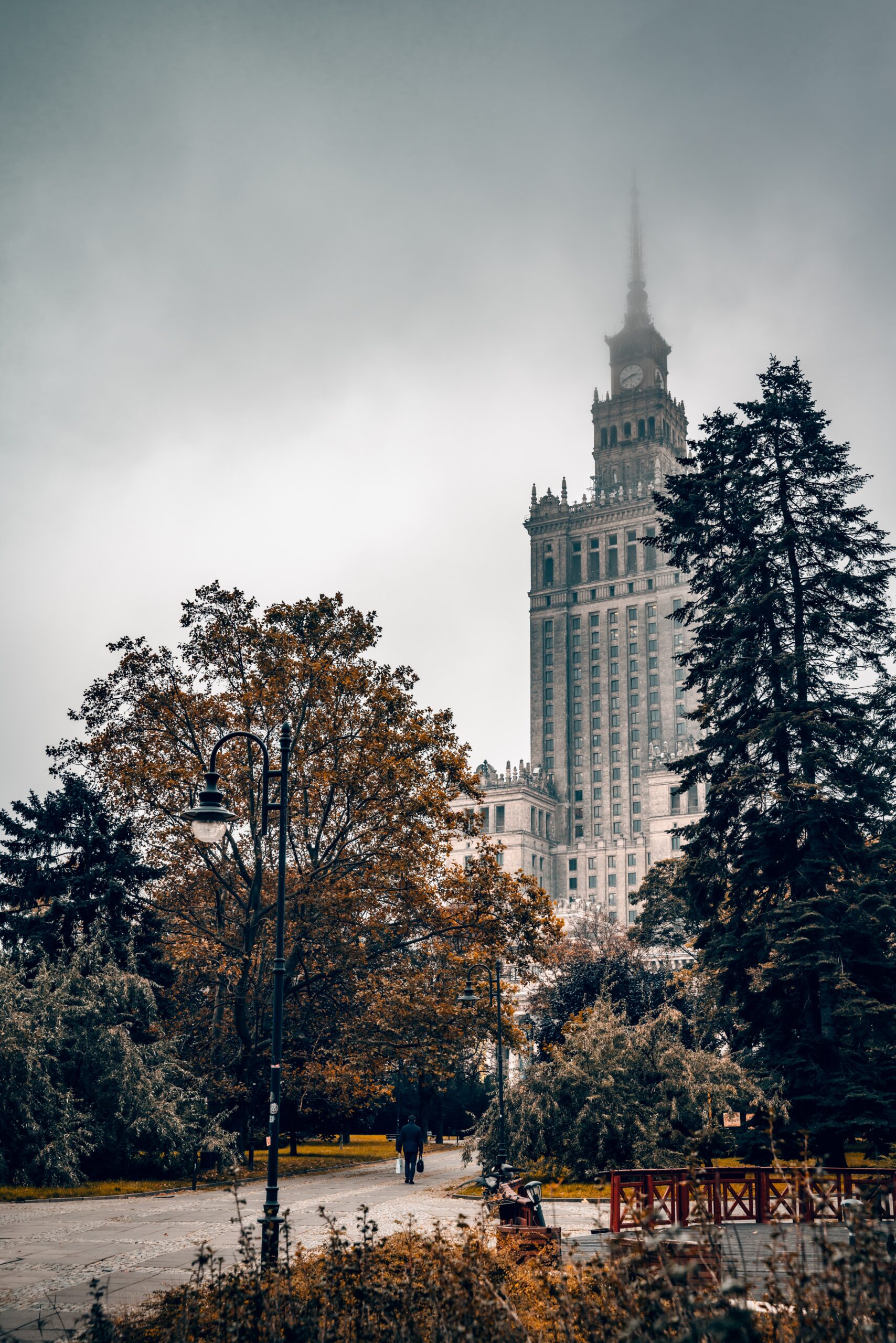 pexels-adam-borkowski-5650625